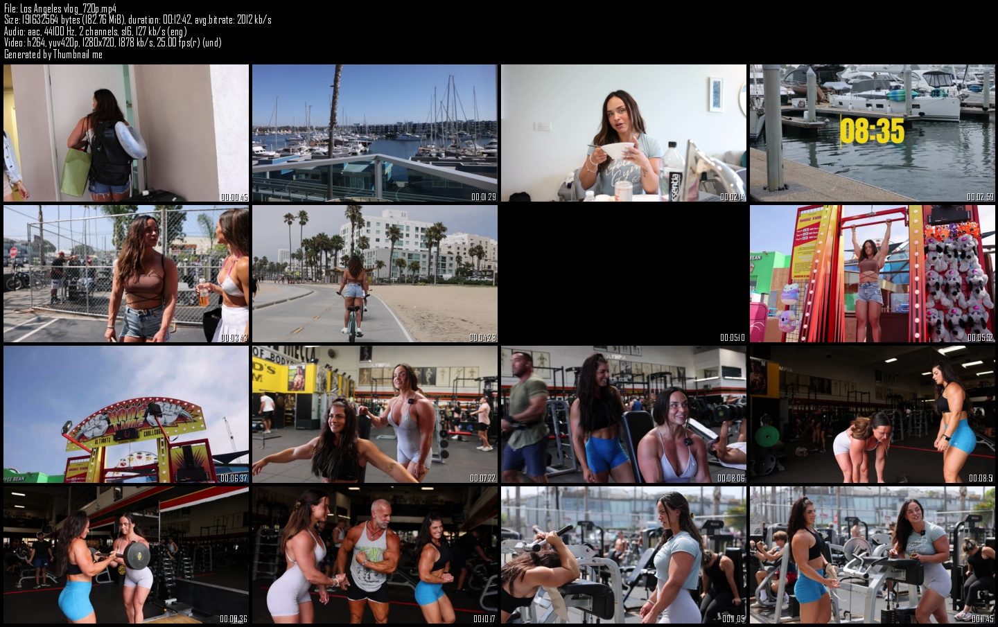 Los Angeles vlog 720 p
