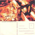 [Slika: 107944332_jpg2.jpg]