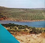 [Slika: 129447090_jpg3.jpg]