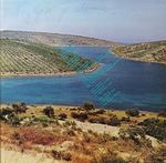 [Slika: 129447091_jpg4.jpg]