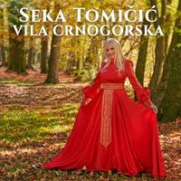 [Slika: 108562024_Vila_Crnogorska.jpg]