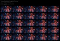 Free Image Hosting