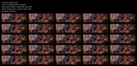 Free Image Hosting