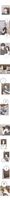 Free Image Hosting