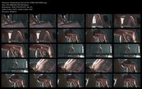 Free Image Hosting