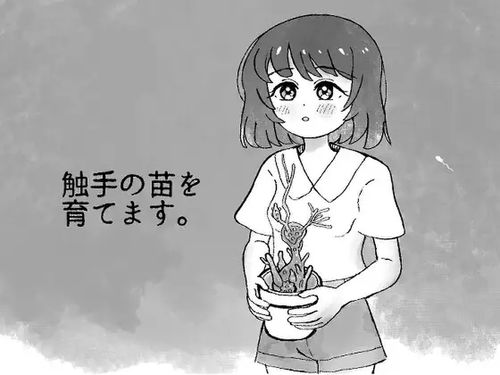 Free Image Hosting