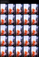 Free Image Hosting