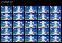 Free Image Hosting