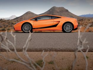 Lamborghini for you-27ondm2omd.jpg