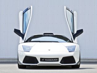 Lamborghini for you-b7ondn03ca.jpg
