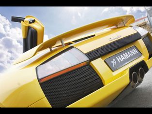 Lamborghini for you-z7ondns4o4.jpg