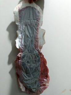Menstruation vol. 79 67ooq45nbd