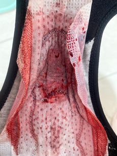 Menstruation vol. 79 p7ooq49dua