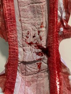 Menstruation vol. 80 z7ooqvscgh