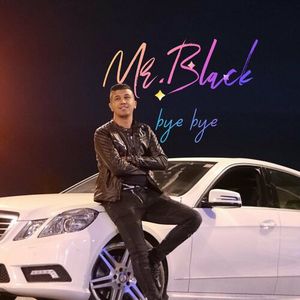 Mr. Black - Bye Bye 84944611_bye_bye